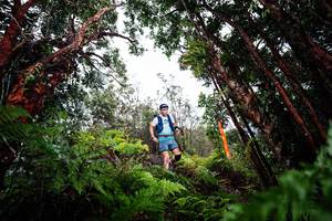 BIB: 
                            <button type="button" onclick="openModal(26202708)" class="btn btn-primary btn-sm float-right btn-popup" data-toggle="modal" data-target=".modal-high-quality">
                        <i class="fas fa-shopping-cart"></i> Add to Cart
                    </button>
                                            <button type="button" onclick="isThisMe(26202708, true)" class="btn btn-success btn-sm float-right btn-popup btn-isme hidden" data-toggle="tooltip" data-placement="bottom" title="นี่คือรูปของคุณใช่ไหม คลิกที่นี่เพื่อเอาเข้าอัลบั้ม">
                        <i class="fas fa-plus"></i> Add to album
                    </button>
                    <button type="button" onclick="isThisMe(26202708, false)" class="btn btn-warning btn-sm float-right btn-popup btn-isnotme hidden">
                        <i class="fas fa-ban"></i> Remove from album
                    </button>